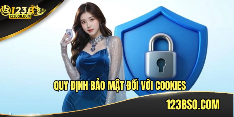 Quy định chính sách bảo mật bảo mật đối với cookies